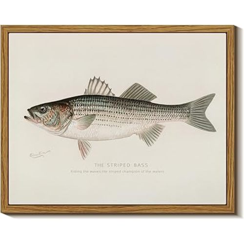InSimSea Vintage Framed Wall Art for Living Room, Striped bass Canvas Decor, Minimalism Artwork Prints, Animals Oil Painting Wall Decor Gallery Picture, for Bathroom Bedroom Kitchen 10L x 8W
