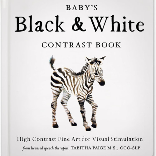 Baby's Black and White Contrast Book: High-Contrast Art for Visual Stimulation at Tummy Time (Tabitha Paige Children's Book Series)