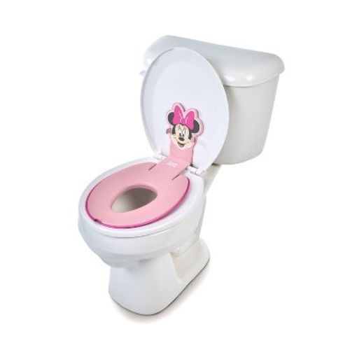 Disney Junior Bright Starts Flip and Sit Potty Seat