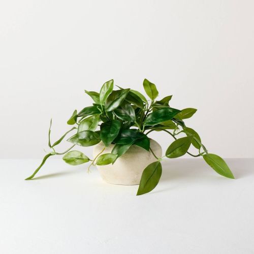 8.5" Small Trailing Hoya Leaf Potted Artificial Plant - Hearth & Hand™ with Magnolia