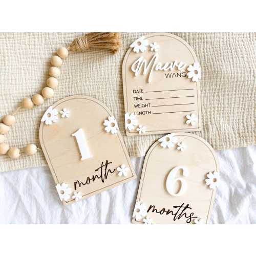 Monthly Flower Milestone Markers, Baby Name Sign, Interchangeable Milestone Cards, Baby Photo Prop, Newborn Photo Prop, Baby Announcement
