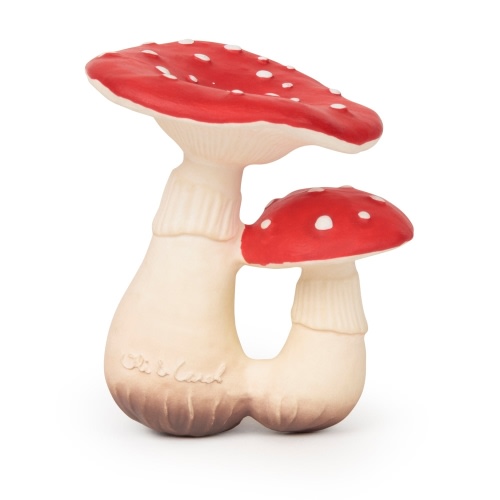 SPOT THE MUSHROOM by Oli & Carol | Barnes & Noble®