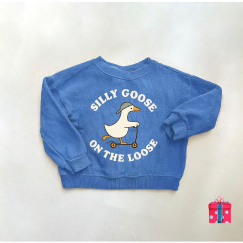 SILLY GOOSE ON THE LOOSE Baby & Kids Pattern Blue Sweatshirt