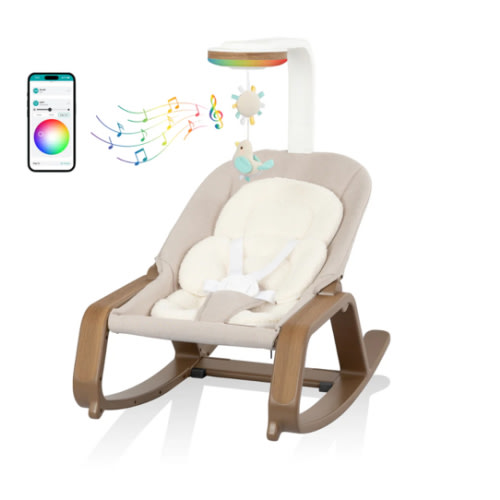 Lyra 2-in-1 Infant to Toddler Rocker