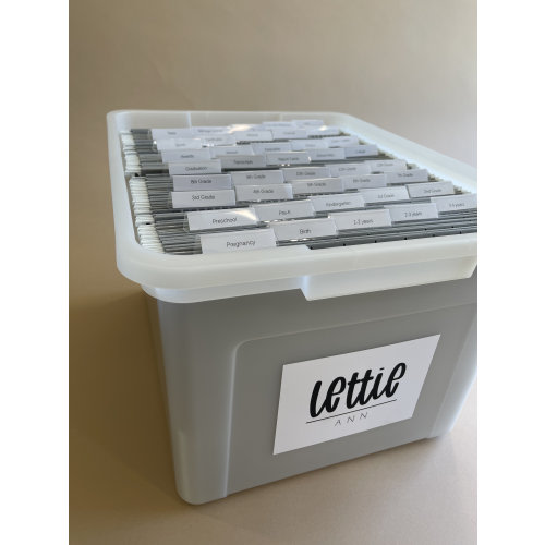 Milestone Life Box Organization
