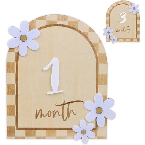 Daisy 3D Baby Monthly Milestone, Wooden Baby Milestone Signs, Monthly Milestone Wood Discs, Baby Milestone Discs (Caro Card)