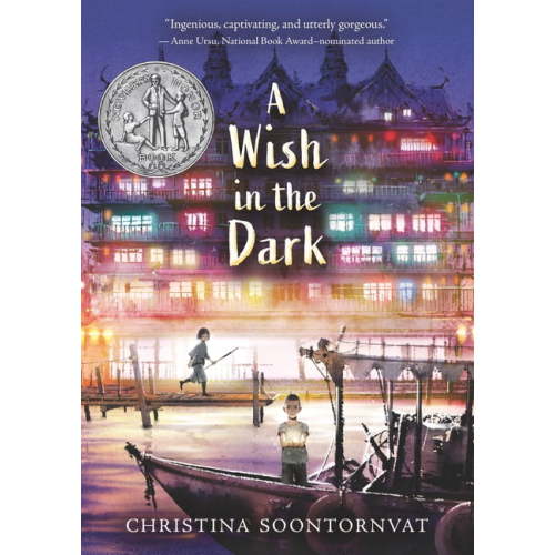 A Wish in the Dark, (Paperback)