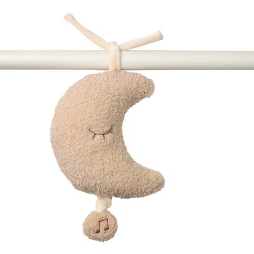 Teddy musical pull string moon