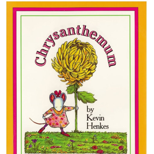 Chrysanthemum