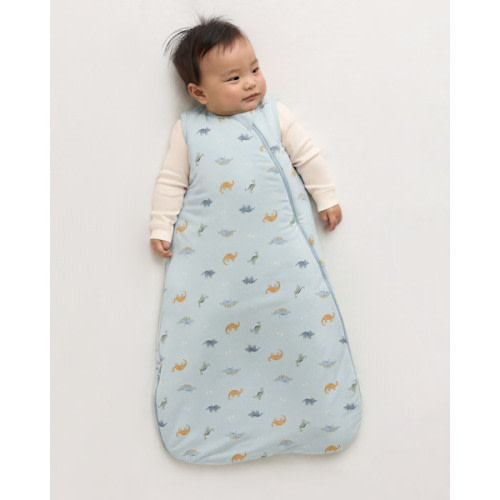 Bamboo Sleep Bag 2.5 TOG in Baby Blue Little Dino