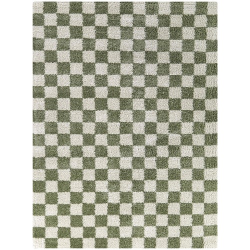 Havill Classic Checkered Area Rug
