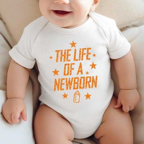 The Life Of A Newborn, Baby Bodysuit, The Life Of A Baby, Baby Shower Gift, In My Baby Era, In My Newborn Era, Baby Girl Gift, Baby Boy Gift