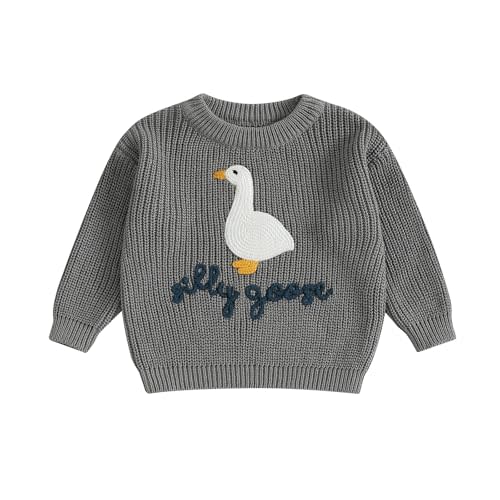 Toddler Baby Boy Girl Knit Sweater Silly Goose Embroidery Long Sleeve Knitted Sweatshirt Warm Fall Winter Clothes