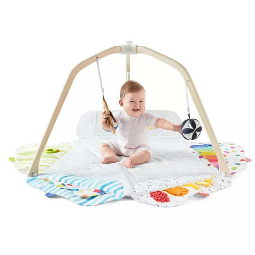 The Play Gym