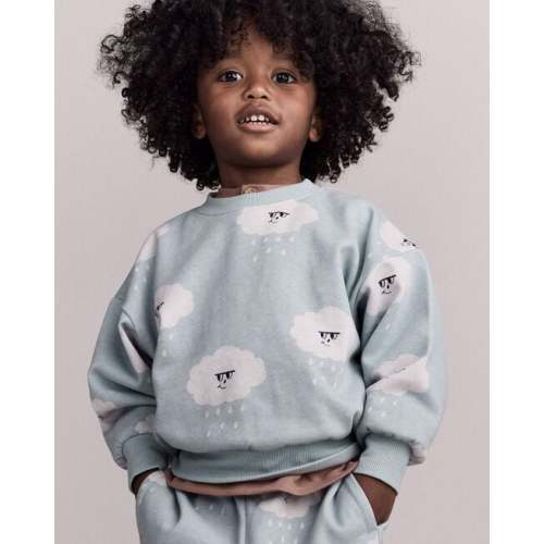 Toddler Wide-Arm Sweatshirt in Rain Cloud Print - Pale Blue - Otter Avenue | Carter's