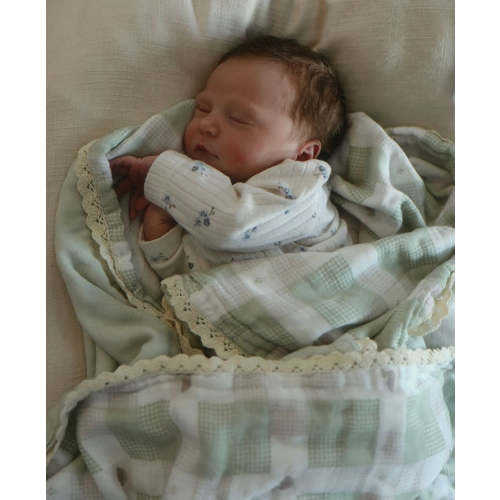 Little Mallard Duck QUILTED 6 Layer Gauze Blanket