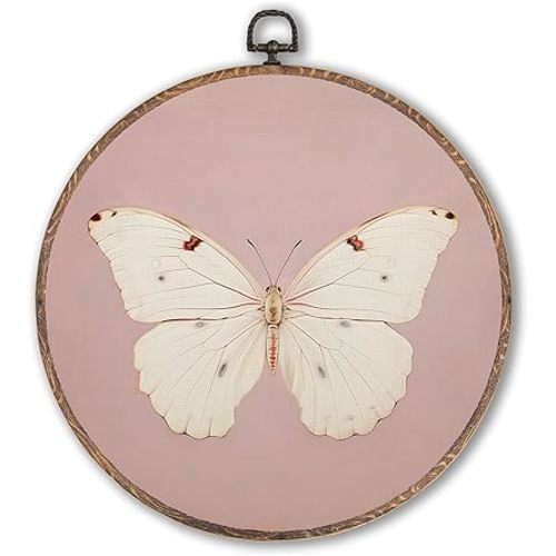 Vintage White Butterfly Pink Round Wall Art Framed, Neutral Moody Butterfly Round Wall Decor, Retro Insert Hanging Canvas Prints Wall Sculptures for Home Bedroom Living Room Decor, 10x10 Inch