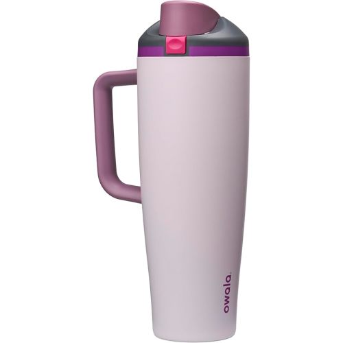 Owala FreeSip Tumbler Insulated Stainless Steel Water Bottle with Built-in Straw and Side Handle, For Travel, Work, School, and Sports, 40oz, BPA Free, Leak Proof, Dreamy Field