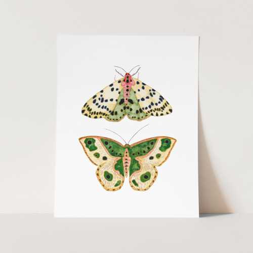Green Moths Art Print. Fun Bug Art. Nursery Art. Moth Painting. Green Moth Wall Art. Nature Decor. Garden Art. Dorm Art Prints. Large Prints