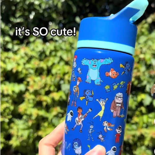 Toddler Water Bottle, Pixar Mashup on Blue