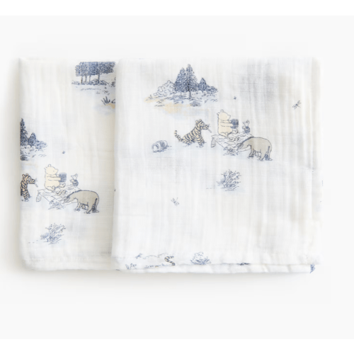 2-PACK PATTERNED MUSLIN CLOTHS