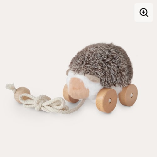 Hedgie – Little Lamb Kind