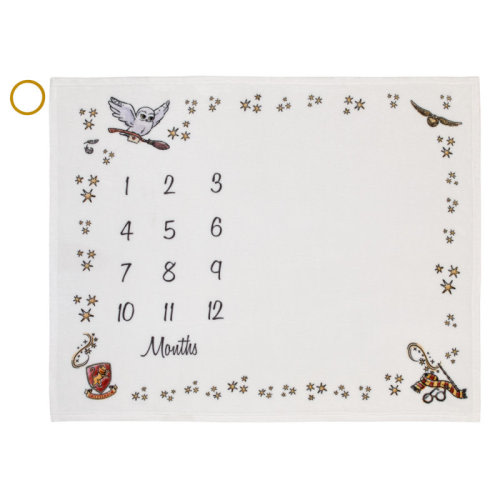 Warner Brothers NoJo Warner Bros. Harry Potter Magical Moments Milestone Baby Blanket | Wayfair
