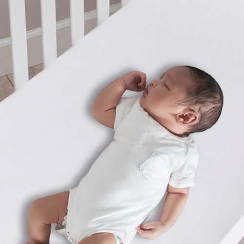 Lambs & Ivy Signature White Organic Cotton Fitted Crib Sheet