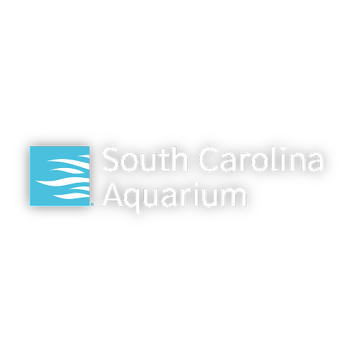 Membership to the South Carolina Aquarium