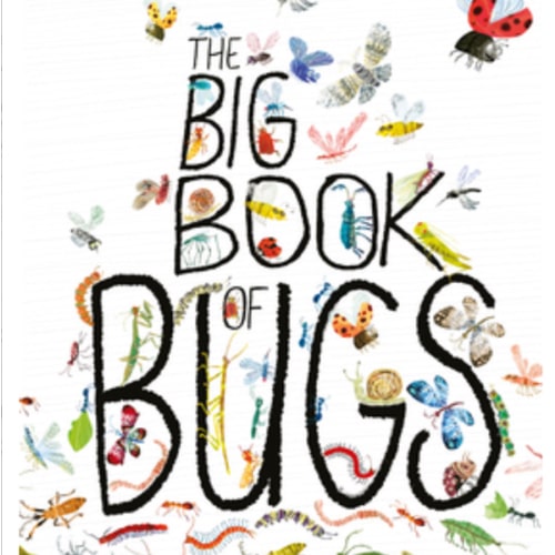 The Big Book of Bugs book by Yuval Zommer
