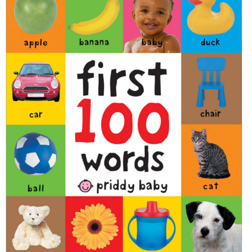 First 100 Words Book