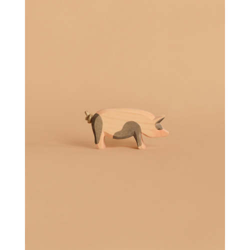 Ostheimer Spotted Pig - Head High