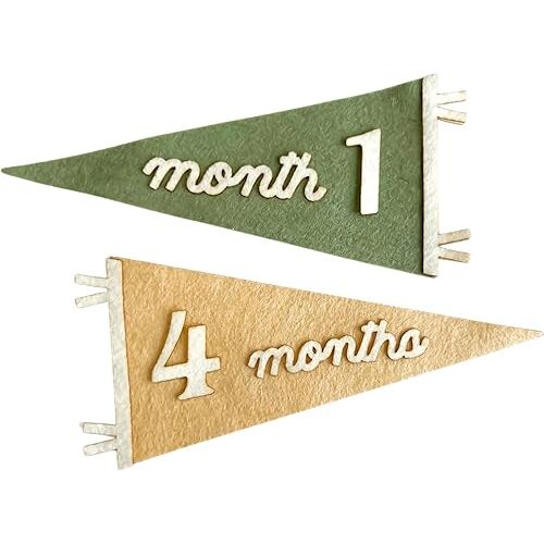 Baby Monthly Milestone Pennant Flag Set – Felt Banner with Interchangeable Numbers, Tassel, 12x6 Inches – Handmade Newborn Photo Prop & Keepsake