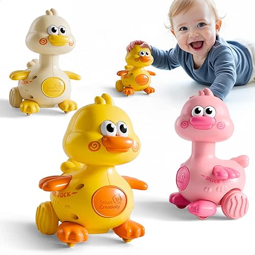 Duck Toys Set