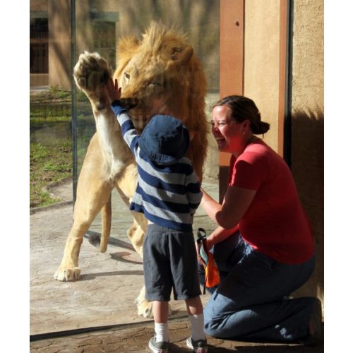 Hogle Zoo Membership