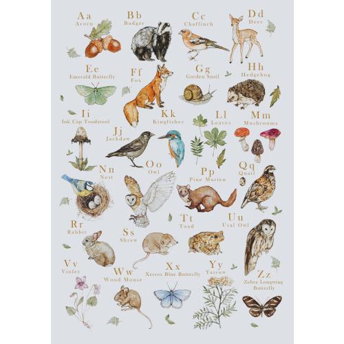 The Woodland Alphabet Illustration Print