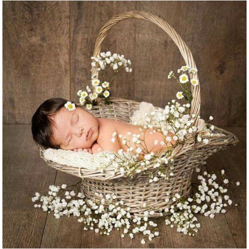 Newborn picture fund