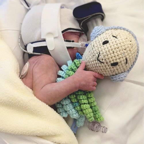 Crochet Octopus, Handmade Amigurumi, NICU Preemie Gift