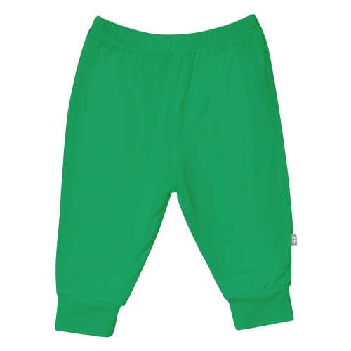 Pant in Fern