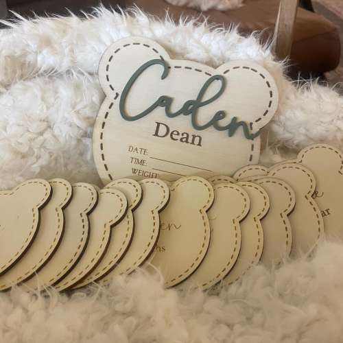Teddy Bear Baby Stat Sign: Personalized Newborn Announcement, Monthly Milestone Plaques