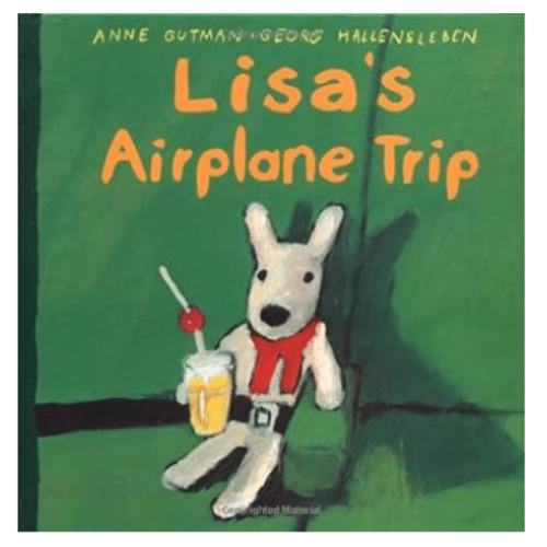 Lisa's Airplane Trip
