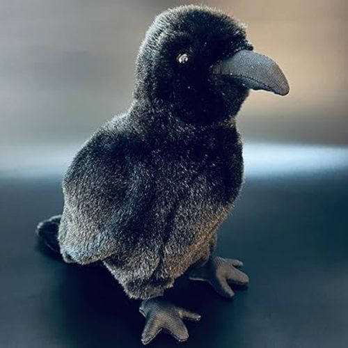 JIANEEXSQ Realistic Crow Plush, Cute Black Raven Stuffed Animal Plush Toy, Soft Raven Bird Stuffed Toys Doll, Kids Birthday Gift Decor