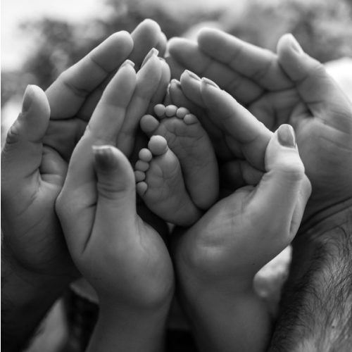 Newborn Photos
