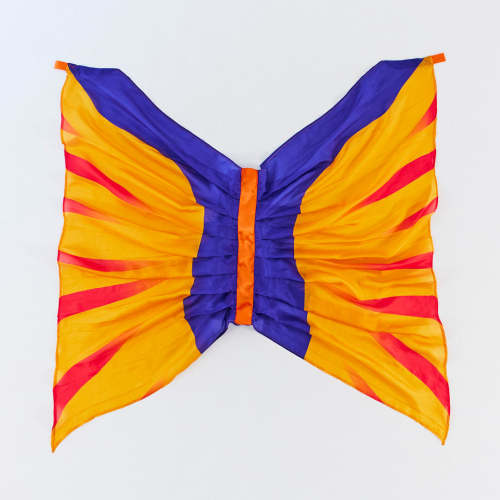 Pterodactyl Wings – Sarah's Silks