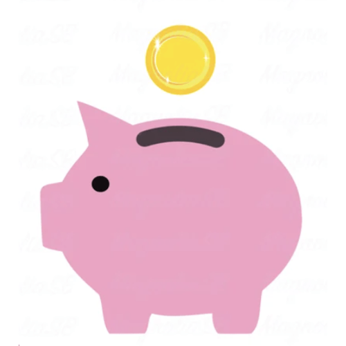 Welcome the Twins Fund