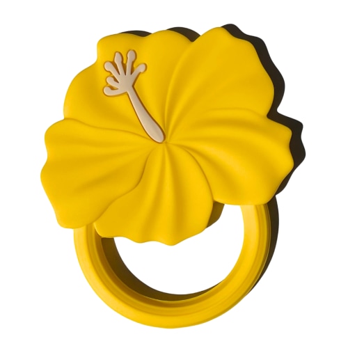 Hawai‘i Teethers – Keiki Kaukau