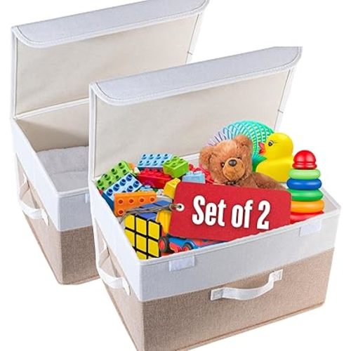 Pack of 2 Kids Toy Organizers and Large Storage Baskets with Lid 15"x10"x10" Foldable Bedroom Storage Organizer Box Set for Baby Box Keepsake or Cloth Bins with Lids