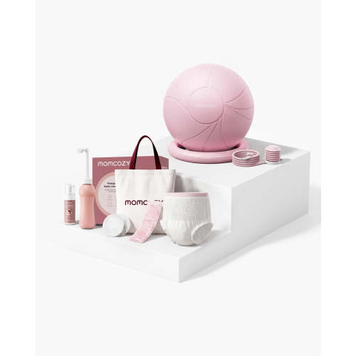 BirthEase Pregnancy Ball & Postpartum Recovery Essentials Kit