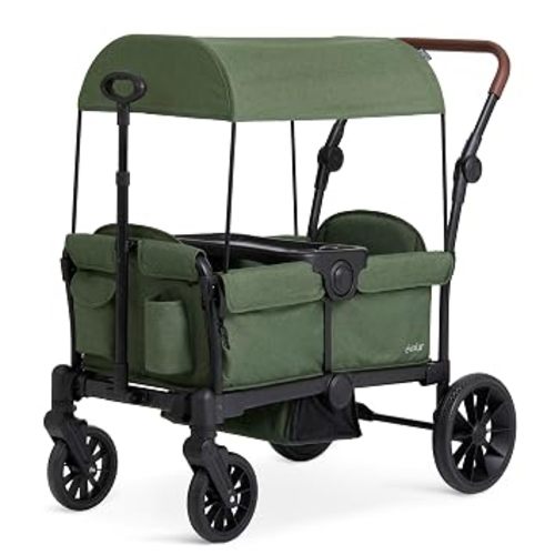 Evolur Trailblazer Foldable Wagon Stroller for 2 Kids with Canopy, Green