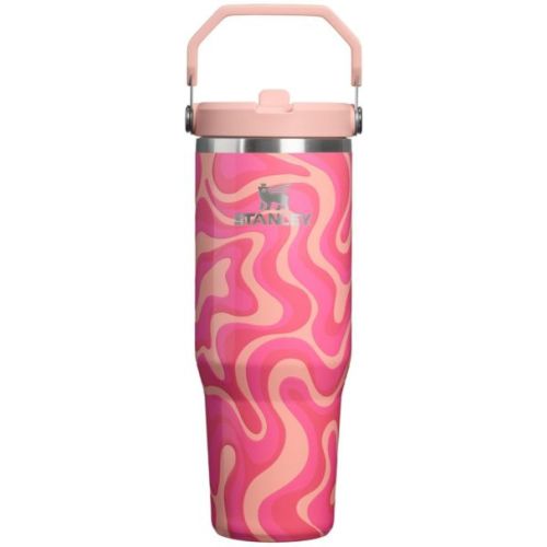 Stanley 30 oz. IceFlow 2.0 Flip Straw Tumbler | Dick's Sporting Goods